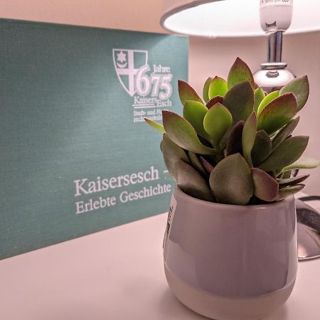 Ferienwohnung Am Waldweg Kaisersesch Eksteriør billede