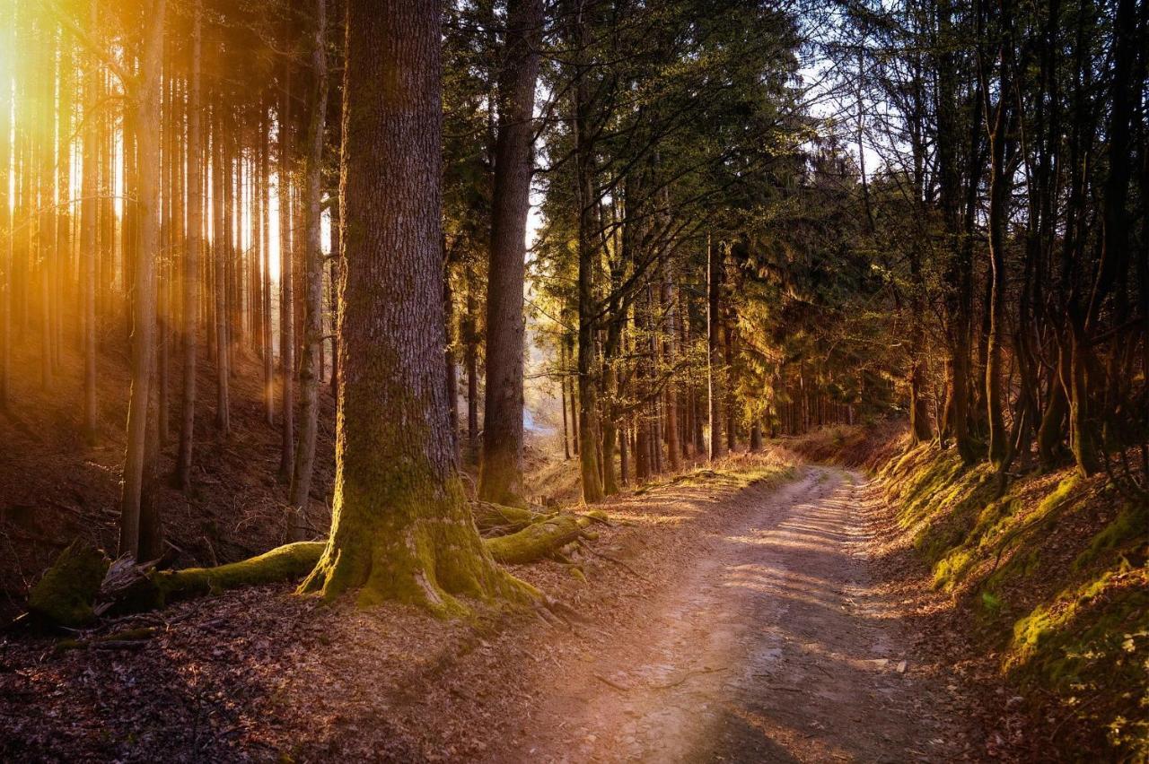 Ferienwohnung Am Waldweg Kaisersesch Eksteriør billede